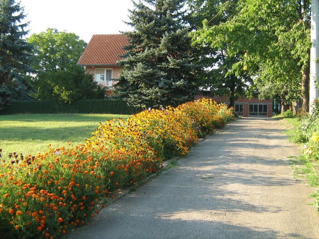 Apartments Domacinstvo Nikolic ヴァリェヴォ エクステリア 写真